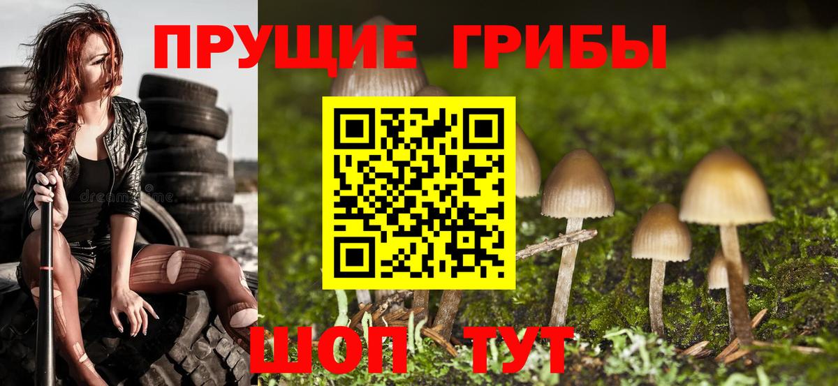 Псилоцибиновые грибы MAGIC MUSHROOMS  Галлюциногенные грибы Magic Shrooms  Вход с VPN  Черкесск 