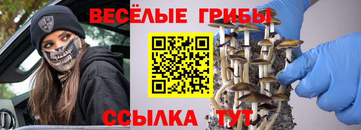 Псилоцибиновые грибы ЛСД Черкесск