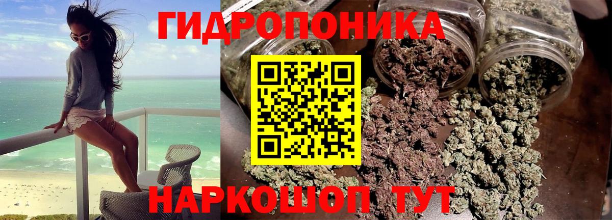 Конопля ГИДРОПОН  Вход с VPN  Бошки Шишки VHQ  Черкесск 
